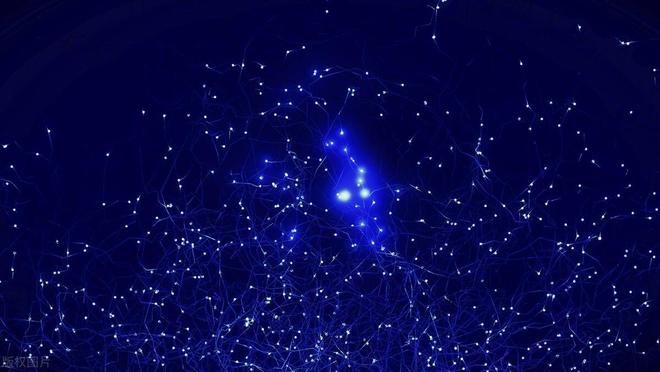 蛇年6月这五个星座要逆天啦！pg电子模拟器免费版2025(图4)